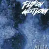 Fusion Meltdown - Aida